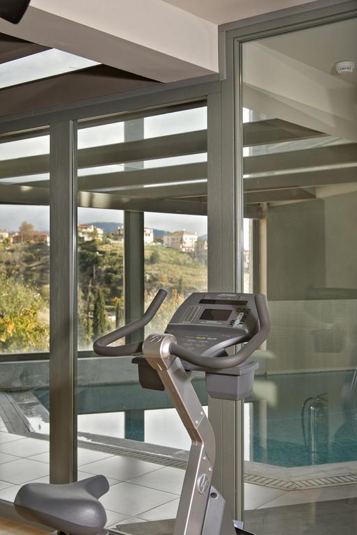 Aegli Arachova Hotell Exteriör bild